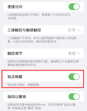 绥中苹果授权维修站分享iPhone轻点无法唤醒怎么办 