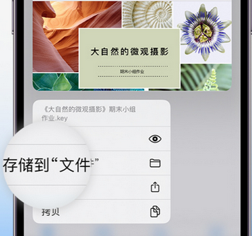 绥中apple维修中心分享iPhone文件应用中存储和找到下载文件