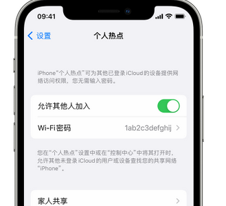 绥中apple服务站点分享iPhone上个人热点丢失了怎么办 