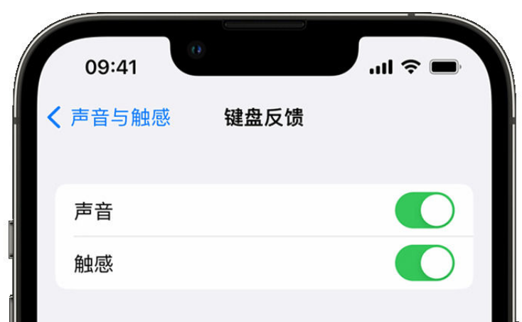 绥中苹果手机维修分享iPhone 14触感键盘使用方法 