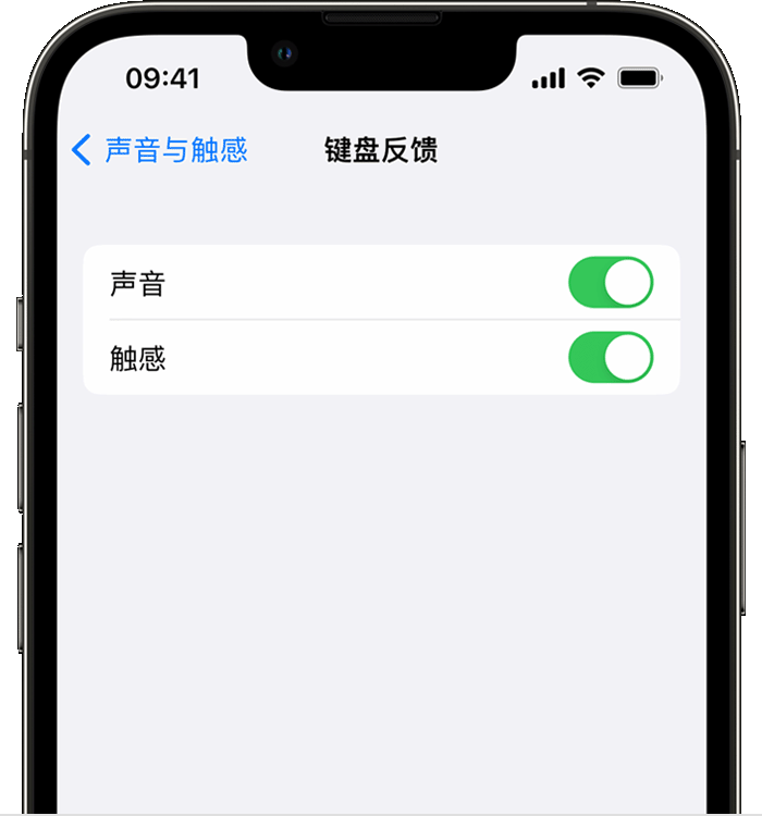 绥中苹果14维修店分享如何在 iPhone 14 机型中使用触感键盘 