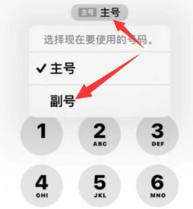 绥中苹果14维修店分享iPhone 14 Pro Max使用副卡打电话的方法 