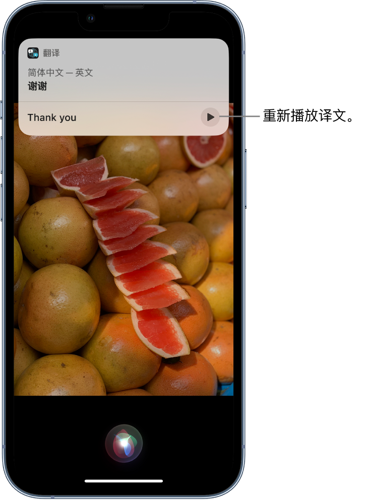 绥中苹果14维修分享 iPhone 14 机型中使用 Siri：了解 Siri 能帮你做什么 