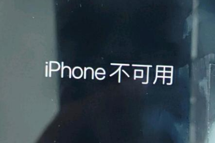 绥中苹果服务网点分享锁屏界面显示“iPhone 不可用”如何解决 