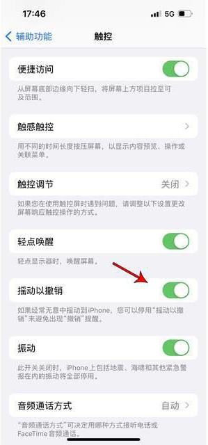 绥中苹果手机维修分享iPhone手机如何设置摇一摇删除文字 