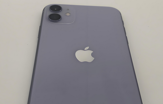 绥中苹果11系统维修分享iPhone11手机系统崩溃无法开机如何解决 